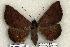  ( - 395-COI-06)  @13 [ ] Copyright (2008) Unspecified Research Collection of Robert J. Borth