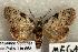  ( - 406-COI-06)  @14 [ ] Copyright (2008) Unspecified Research Collection of Robert J. Borth