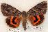  ( - 440-8770-180702-TN)  @13 [ ] Copyright (2008) Unspecified Research Collection of Robert J. Borth