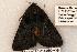  ( - 443-8775-130893-WI)  @13 [ ] Copyright (2008) Unspecified Research Collection of Robert J. Borth