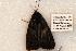  ( - 444-8775-130893-WI)  @12 [ ] Copyright (2008) Unspecified Research Collection of Robert J. Borth