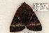  ( - 445-8773-030605-FL)  @13 [ ] Copyright (2008) Unspecified Research Collection of Robert J. Borth