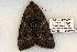  ( - 446-8773-030702-TN)  @13 [ ] Copyright (2008) Unspecified Research Collection of Robert J. Borth
