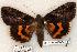  ( - 451-8774-010604-TX)  @14 [ ] Copyright (2008) Unspecified Research Collection of Robert J. Borth