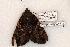  ( - 452-8774-020605-FL)  @12 [ ] Copyright (2008) Unspecified Research Collection of Robert J. Borth