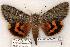 ( - 454-8779-090802-KY)  @14 [ ] Copyright (2008) Unspecified Research Collection of Robert J. Borth