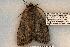  ( - 456-8781-130702-TN)  @13 [ ] Copyright (2008) Unspecified Research Collection of Robert J. Borth