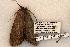  ( - 457-8781-020702-TN)  @12 [ ] Copyright (2008) Unspecified Research Collection of Robert J. Borth