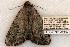  ( - 458-8781-030702-TN)  @13 [ ] Copyright (2008) Unspecified Research Collection of Robert J. Borth