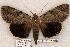  ( - 459-8780-150802-IN)  @14 [ ] Copyright (2008) Unspecified Research Collection of Robert J. Borth