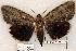  ( - 462-8783-130802-IN)  @14 [ ] Copyright (2008) Unspecified Research Collection of Robert J. Borth