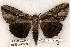  ( - 463-8783-170702-TN)  @14 [ ] Copyright (2008) Unspecified Research Collection of Robert J. Borth