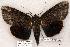  ( - 466-8784-130802-IN)  @14 [ ] Unspecified (default): All Rights Reserved  Unspecified Unspecified