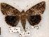  ( - 488-8787-030799-LA)  @13 [ ] Copyright (2008) Unspecified Research Collection of Robert J. Borth