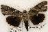  ( - 491-8790-090802-KY)  @13 [ ] Copyright (2008) Unspecified Research Collection of Robert J. Borth