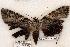  ( - 492-8790-020702-TN)  @12 [ ] Copyright (2008) Unspecified Research Collection of Robert J. Borth