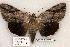  ( - 498-8793-160802-IN)  @14 [ ] Copyright (2008) Unspecified Research Collection of Robert J. Borth