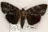  ( - 503-8794-130802-IN)  @15 [ ] Copyright (2008) Unspecified Research Collection of Robert J. Borth