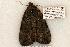  ( - 504-8795-100802-KY)  @13 [ ] Copyright (2008) Unspecified Research Collection of Robert J. Borth