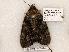  ( - 506-8795-150802-IN)  @13 [ ] Copyright (2008) Unspecified Research Collection of Robert J. Borth