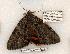  ( - 507-8795-090802-KY)  @13 [ ] Copyright (2008) Unspecified Research Collection of Robert J. Borth