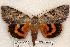  ( - 510-8797-070802-KY)  @14 [ ] Copyright (2008) Unspecified Research Collection of Robert J. Borth