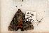  ( - 523-8805-300900-WI)  @13 [ ] Copyright (2008) Unspecified Research Collection of Robert J. Borth