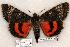  ( - 534-8818-030803-AZ)  @14 [ ] Copyright (2008) Unspecified Research Collection of Robert J. Borth