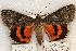  ( - 536-8822-250798-SD)  @14 [ ] Copyright (2008) Unspecified Research Collection of Robert J. Borth