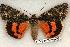  ( - 537-8822-050499-SD)  @14 [ ] Copyright (2008) Unspecified Research Collection of Robert J. Borth