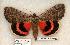  ( - 551-8833-100902-WI)  @14 [ ] Copyright (2008) Unspecified Research Collection of Robert J. Borth