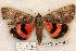  ( - 552-8833-100902-WI)  @13 [ ] Copyright (2008) Unspecified Research Collection of Robert J. Borth