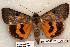  ( - 561-8842-310799-WI)  @14 [ ] Copyright (2008) Unspecified Research Collection of Robert J. Borth