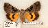  ( - 567-8843-140795-WI)  @13 [ ] Copyright (2008) Unspecified Research Collection of Robert J. Borth