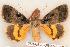  ( - 568-8843-050694-WI)  @13 [ ] Copyright (2008) Unspecified Research Collection of Robert J. Borth