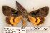  ( - 569-8843-050694-WI)  @13 [ ] Copyright (2008) Unspecified Research Collection of Robert J. Borth