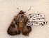  ( - 572-8844-040605-FL)  @13 [ ] Copyright (2008) Unspecified Research Collection of Robert J. Borth