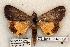  ( - 573-8845-100602-OK)  @13 [ ] Copyright (2008) Unspecified Research Collection of Robert J. Borth