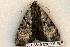  ( - 581-8849-030506-FL)  @13 [ ] Copyright (2008) Unspecified Research Collection of Robert J. Borth