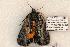  ( - 584-8848-060606-FL)  @13 [ ] Copyright (2008) Unspecified Research Collection of Robert J. Borth