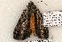  ( - 585-8848-030606-FL)  @13 [ ] Copyright (2008) Unspecified Research Collection of Robert J. Borth