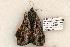  ( - 586-8849-050506-FL)  @13 [ ] Copyright (2008) Unspecified Research Collection of Robert J. Borth
