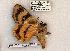  ( - 596-0000-140698-AZ)  @13 [ ] Copyright (2008) Unspecified Research Collection of Robert J. Borth