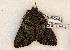  ( - 598-8801-210506-FL)  @13 [ ] Copyright (2008) Unspecified Research Collection of Robert J. Borth