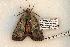  ( - 606-8864-210506-FL)  @13 [ ] Copyright (2008) Unspecified Research Collection of Robert J. Borth