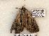  ( - 608-8872-200506-FL)  @13 [ ] Copyright (2008) Unspecified Research Collection of Robert J. Borth