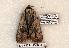  ( - 609-8872-190506-FL)  @13 [ ] Copyright (2008) Unspecified Research Collection of Robert J. Borth