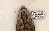  ( - 610-8872-180506-FL)  @13 [ ] Copyright (2008) Unspecified Research Collection of Robert J. Borth