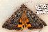  ( - 618-8873-200506-FL)  @12 [ ] Copyright (2008) Unspecified Research Collection of Robert J. Borth