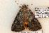  ( - 619-8873-210506-FL)  @12 [ ] Copyright (2008) Unspecified Research Collection of Robert J. Borth